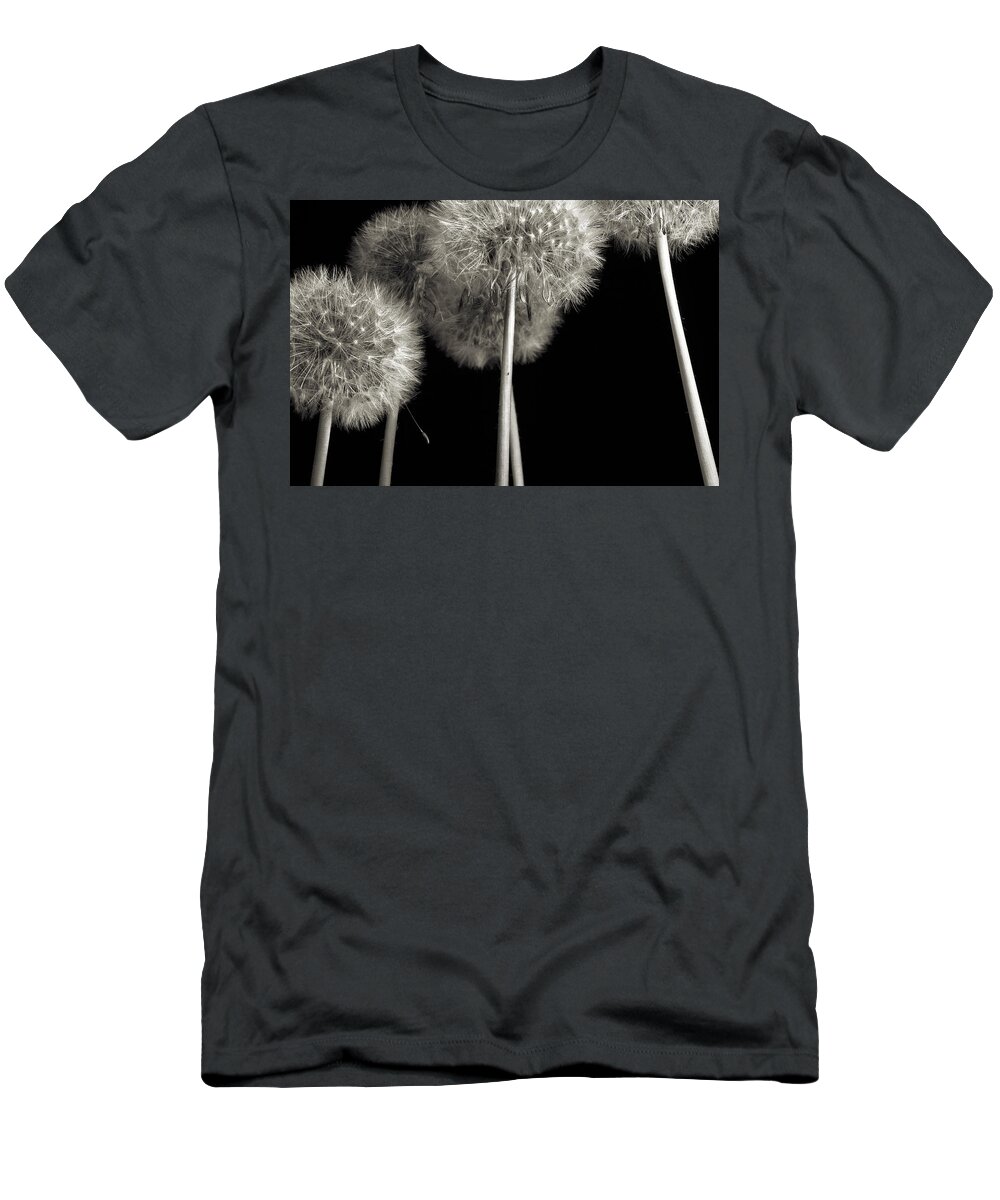 Dandelion T-Shirt featuring the photograph Dandelion by Mike Eingle