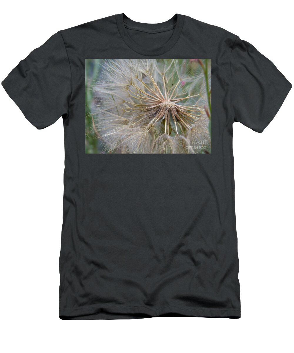Dandelion T-Shirt featuring the photograph Dandelion Seed plant by Christy Garavetto