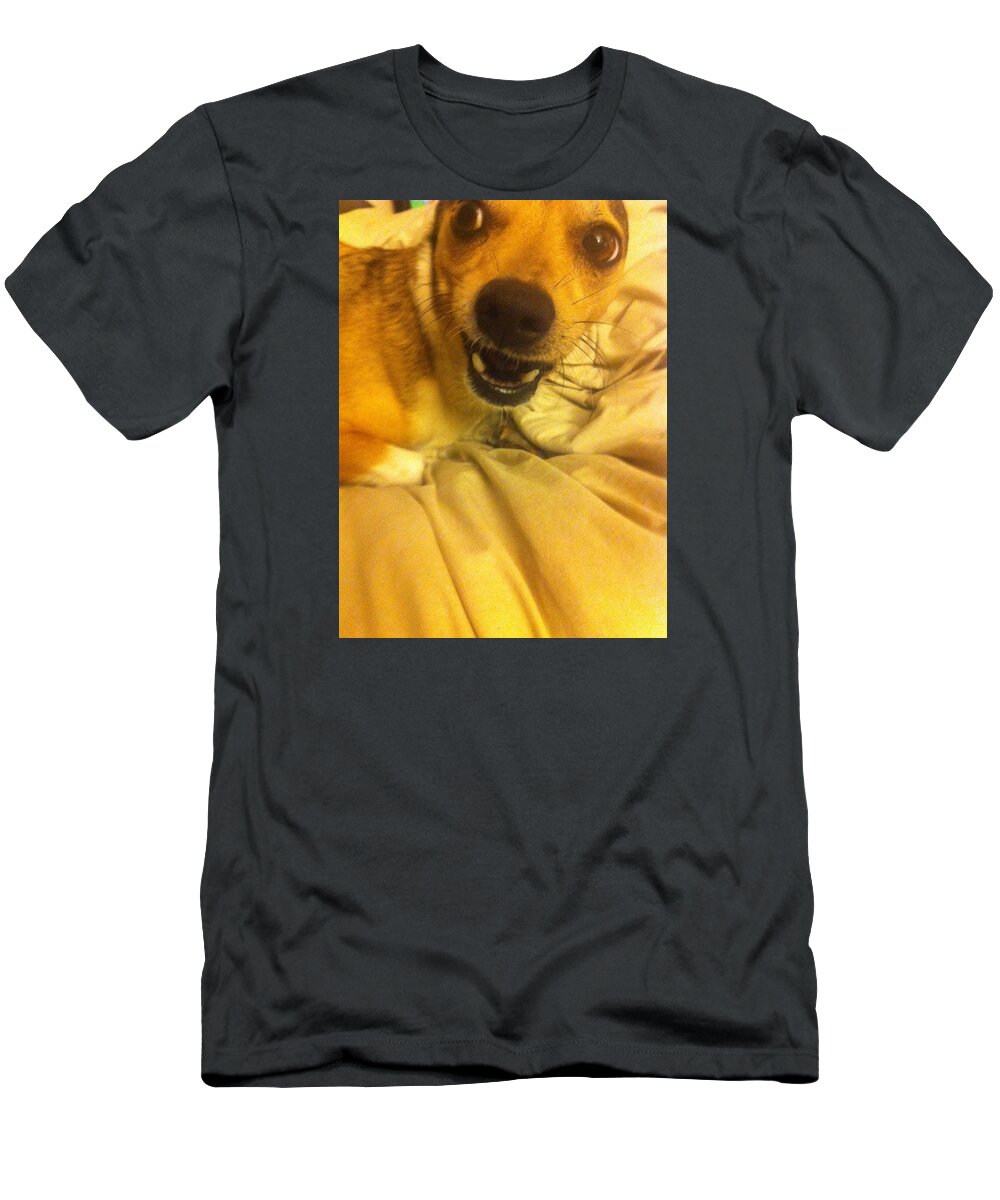  T-Shirt featuring the photograph Danger Puppy by Laura M Corbin