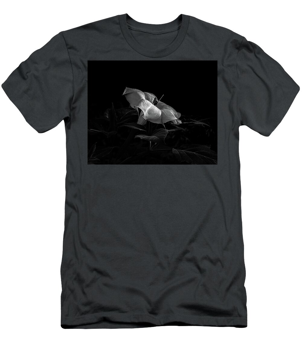 Datura T-Shirt featuring the photograph Datura and bee in black and white by Alessandra RC