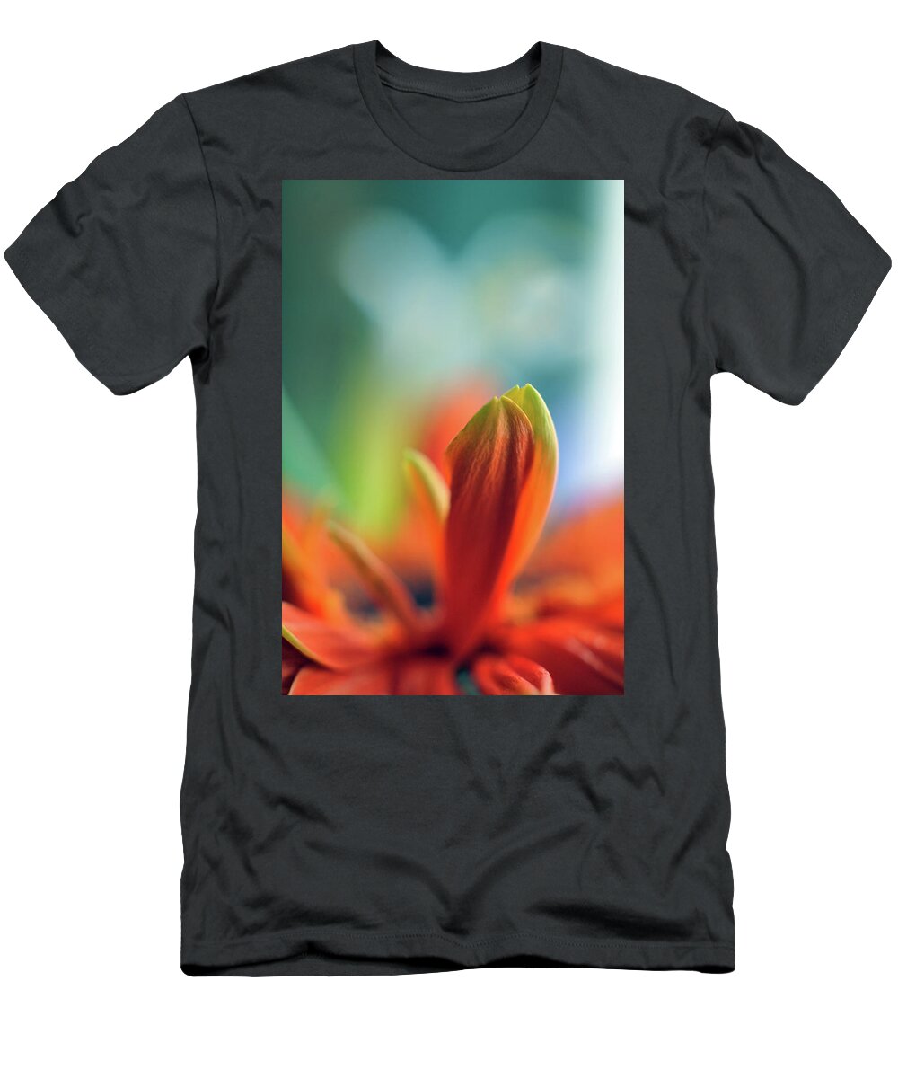 Orange T-Shirt featuring the photograph Decision by Michelle Wermuth