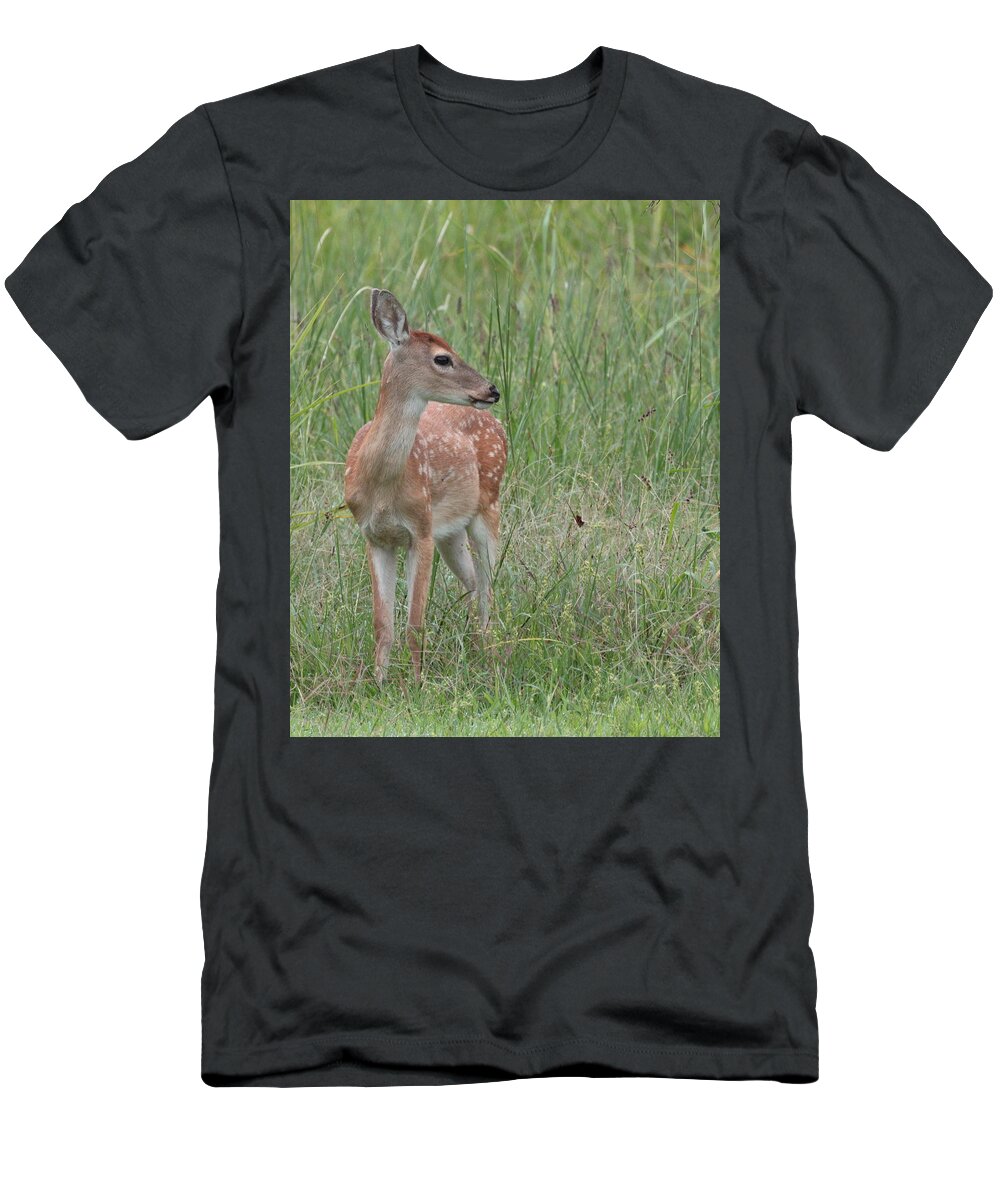 Deer T-Shirt featuring the photograph Deer 2920 by John Moyer