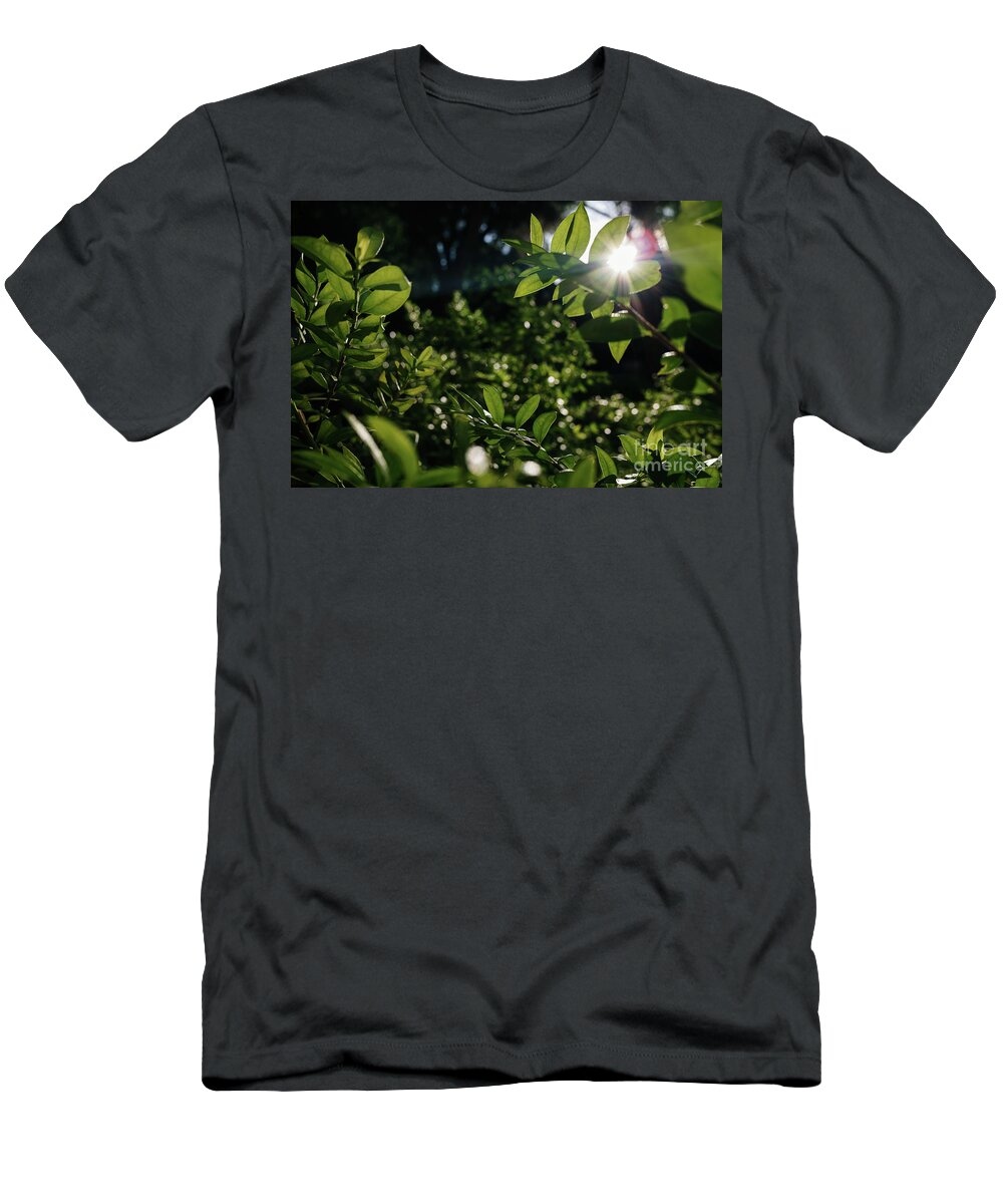 Abstract T-Shirt featuring the photograph Dense foliage of green leaves illuminated by the sun, background by Joaquin Corbalan