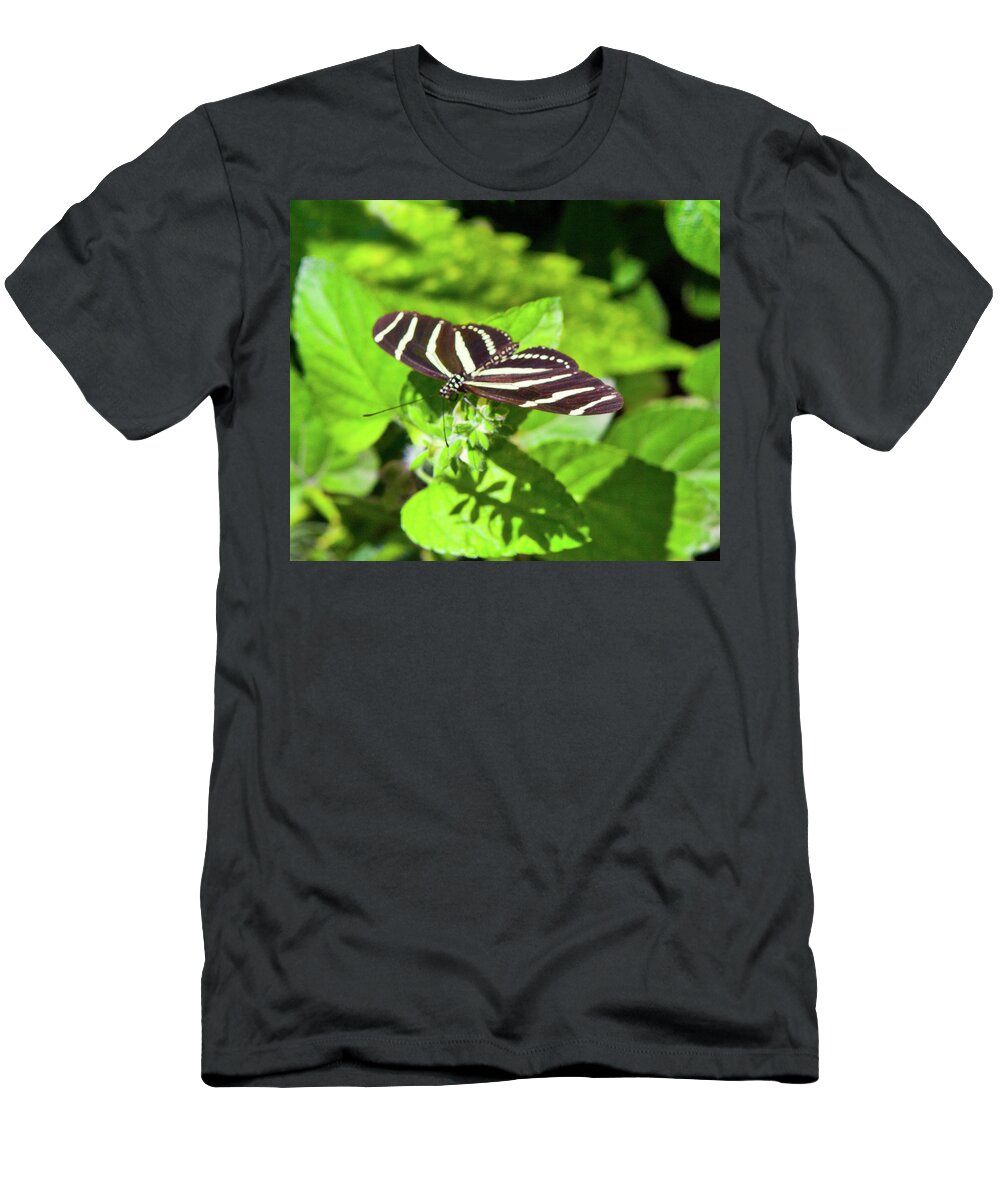  T-Shirt featuring the photograph Desert Botanical Garden Phoenix Arizona Butterfly on Leaf by Catherine Walters