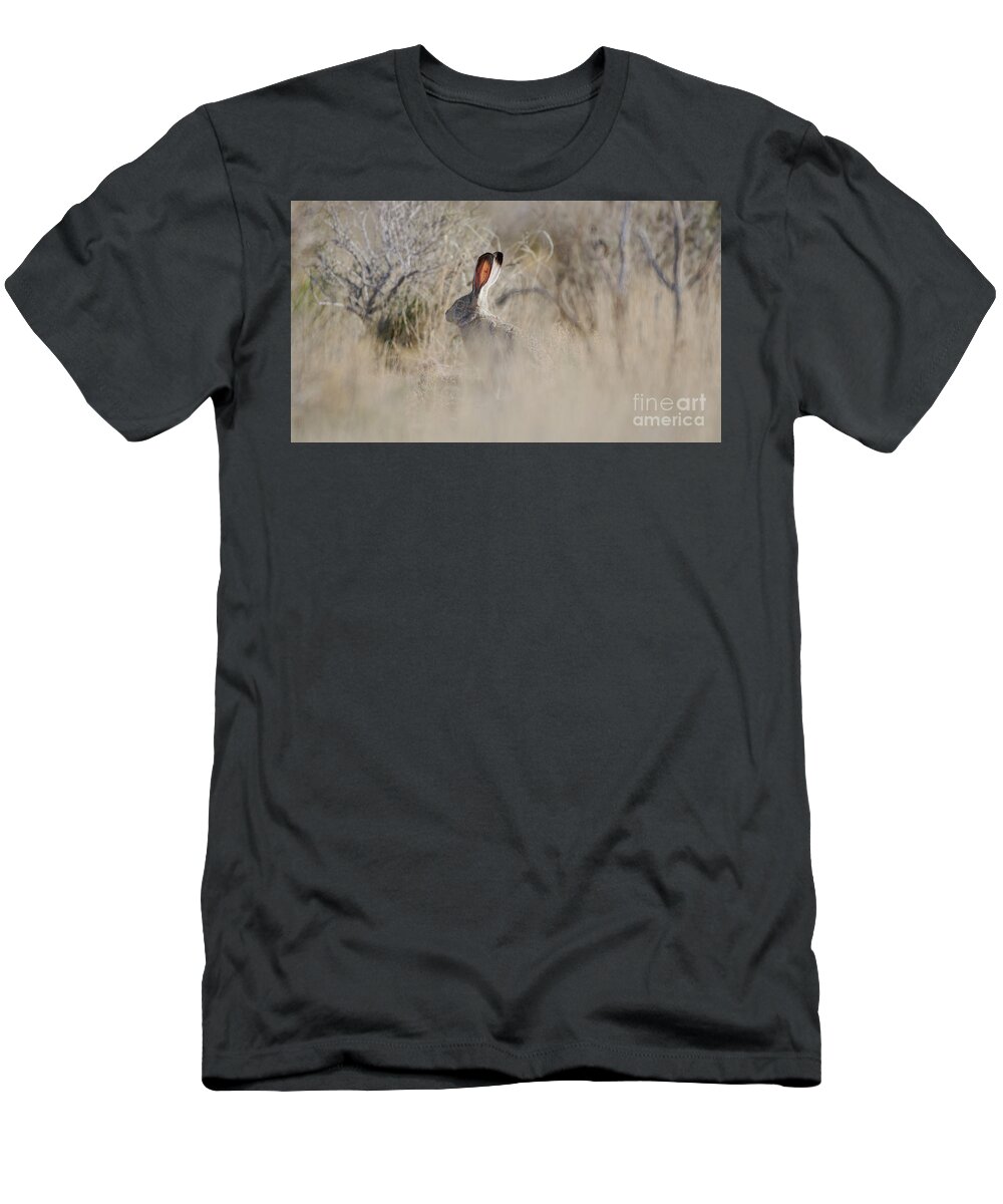 Desert Rabbit T-Shirt featuring the photograph Desert Bunny by Robert WK Clark