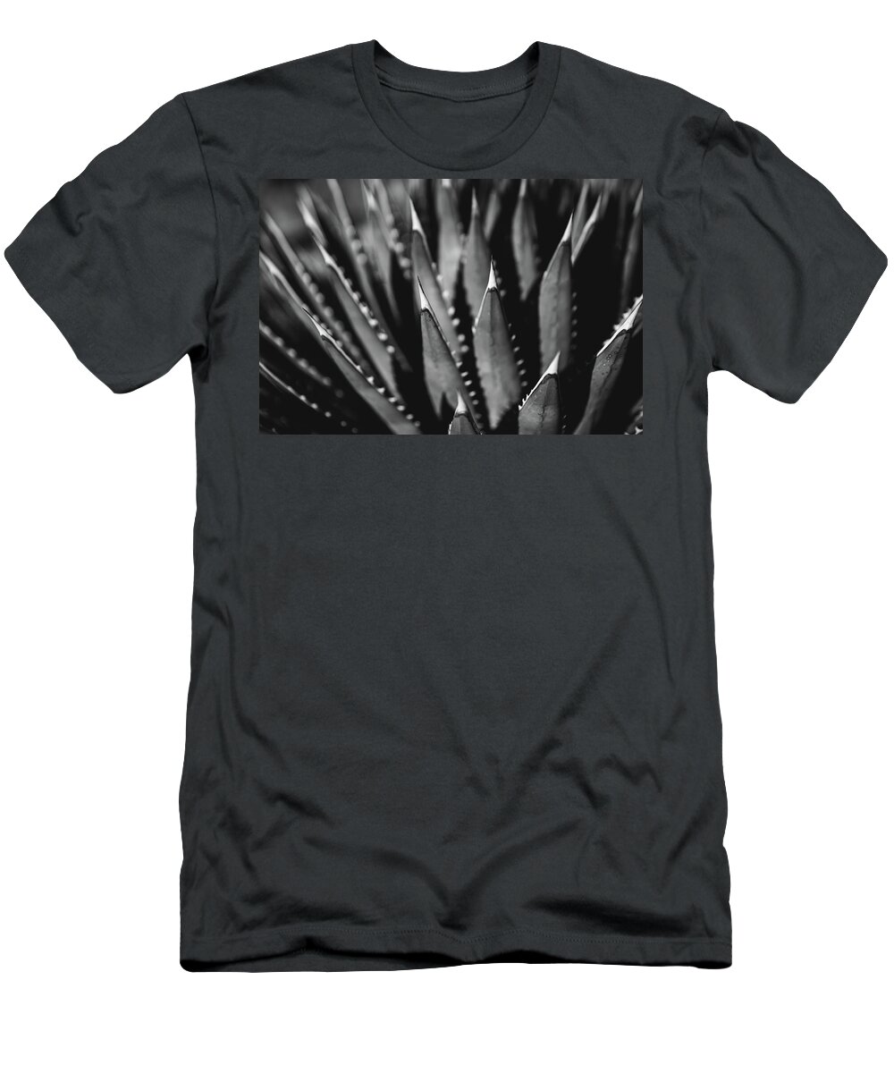 Agave T-Shirt featuring the photograph Desert Lines by Ryan Lima
