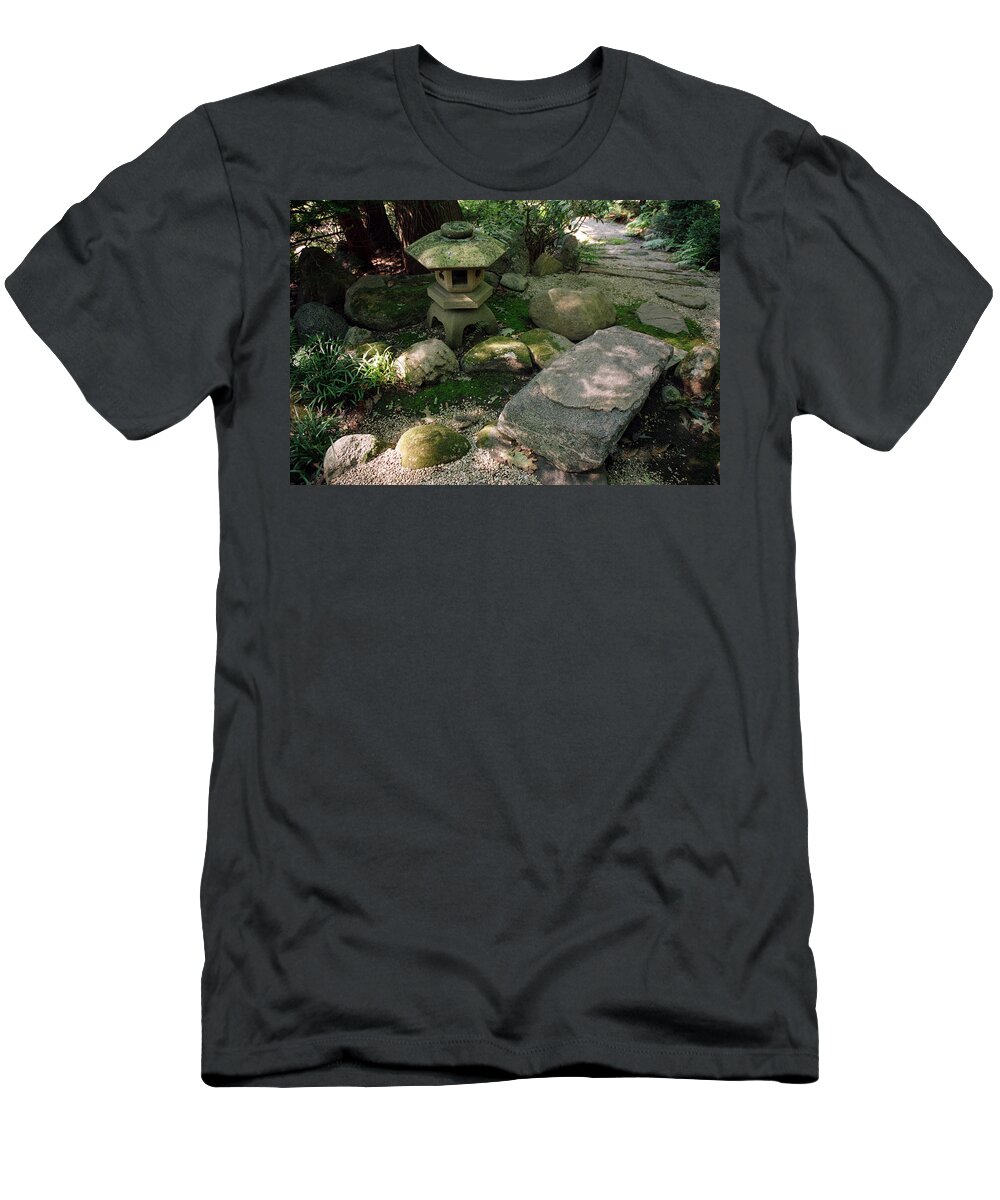 Landscape T-Shirt featuring the photograph Dnrs1004 by Henry Butz