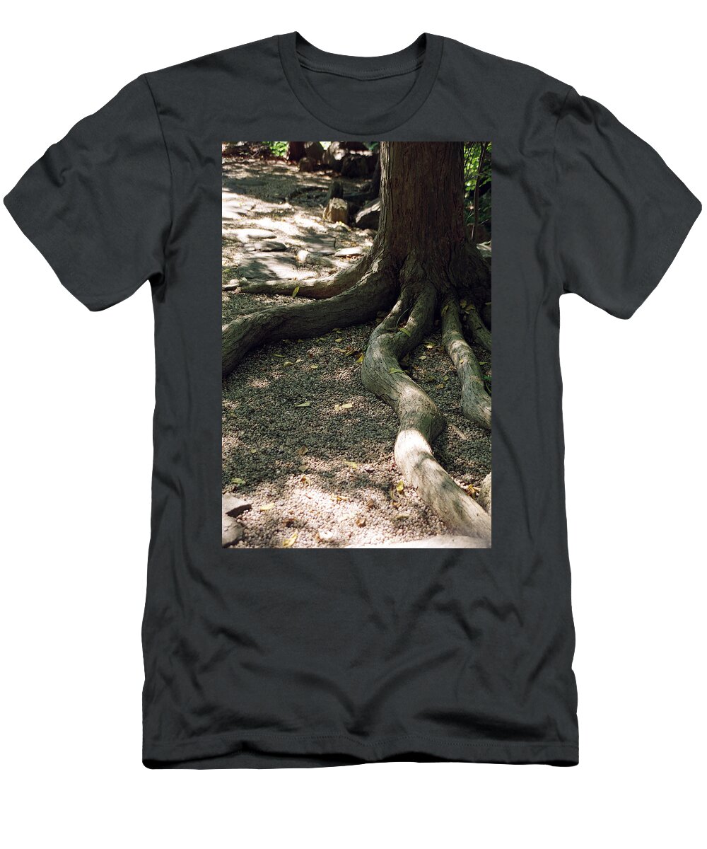 Landscape T-Shirt featuring the photograph Dnrs1017 by Henry Butz