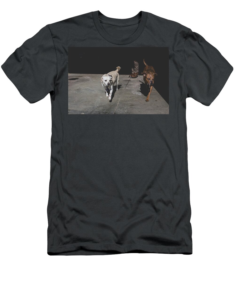 Dog T-Shirt featuring the photograph Dogs going out by Julieta Belmont