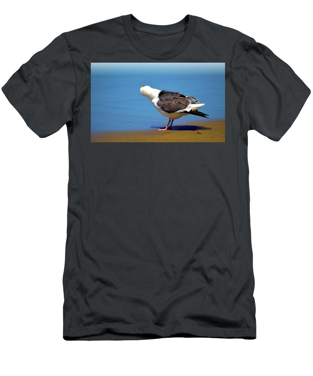 Seagull T-Shirt featuring the photograph Don't Take My Picture by Debra Kewley