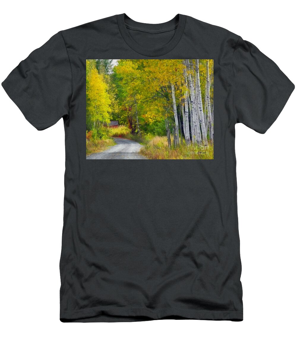 Country Road T-Shirt featuring the photograph Birch Lane by Carol Randall
