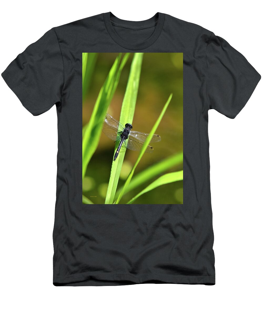 Dragonfly T-Shirt featuring the photograph Dragonfly In The Sun by Christina Rollo