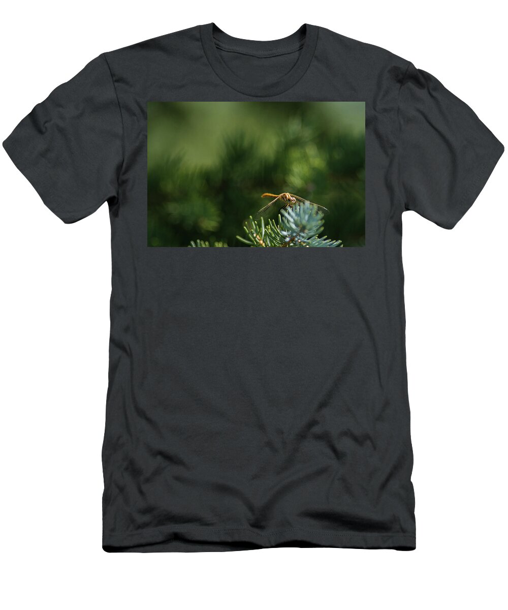 Macro Photography T-Shirt featuring the photograph Dragonfly by Julieta Belmont
