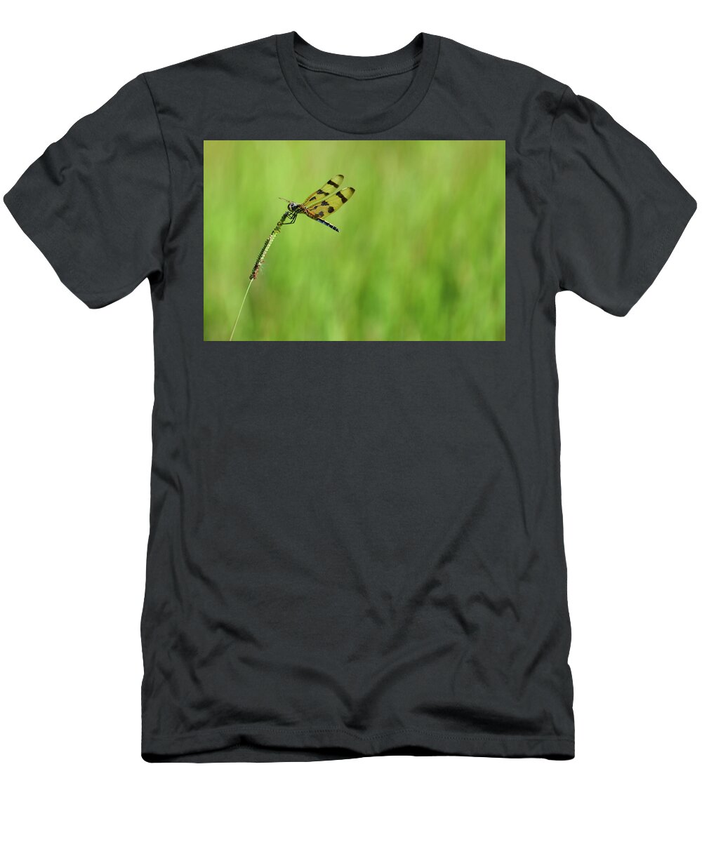 Dragonfly T-Shirt featuring the photograph Dragonfly on a Blade of Grass by T Lynn Dodsworth