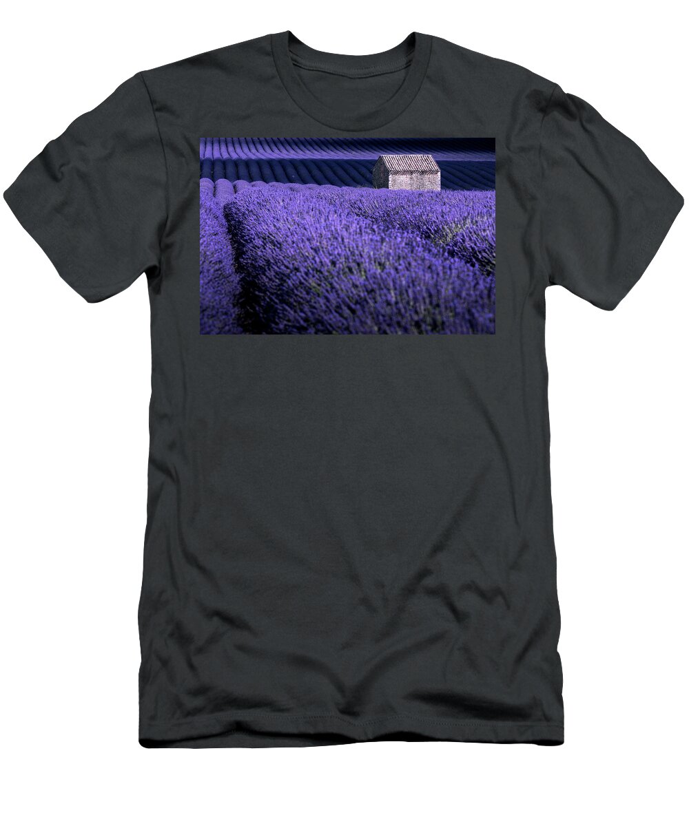 Bloom T-Shirt featuring the photograph Dreaming Purple by Francesco Riccardo Iacomino
