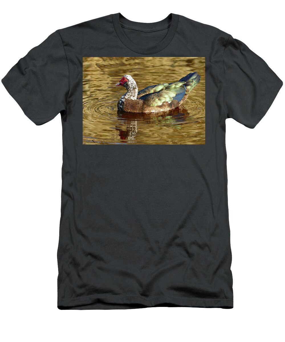 Duck T-Shirt featuring the photograph Duck on Golden Pond by Margaret Zabor