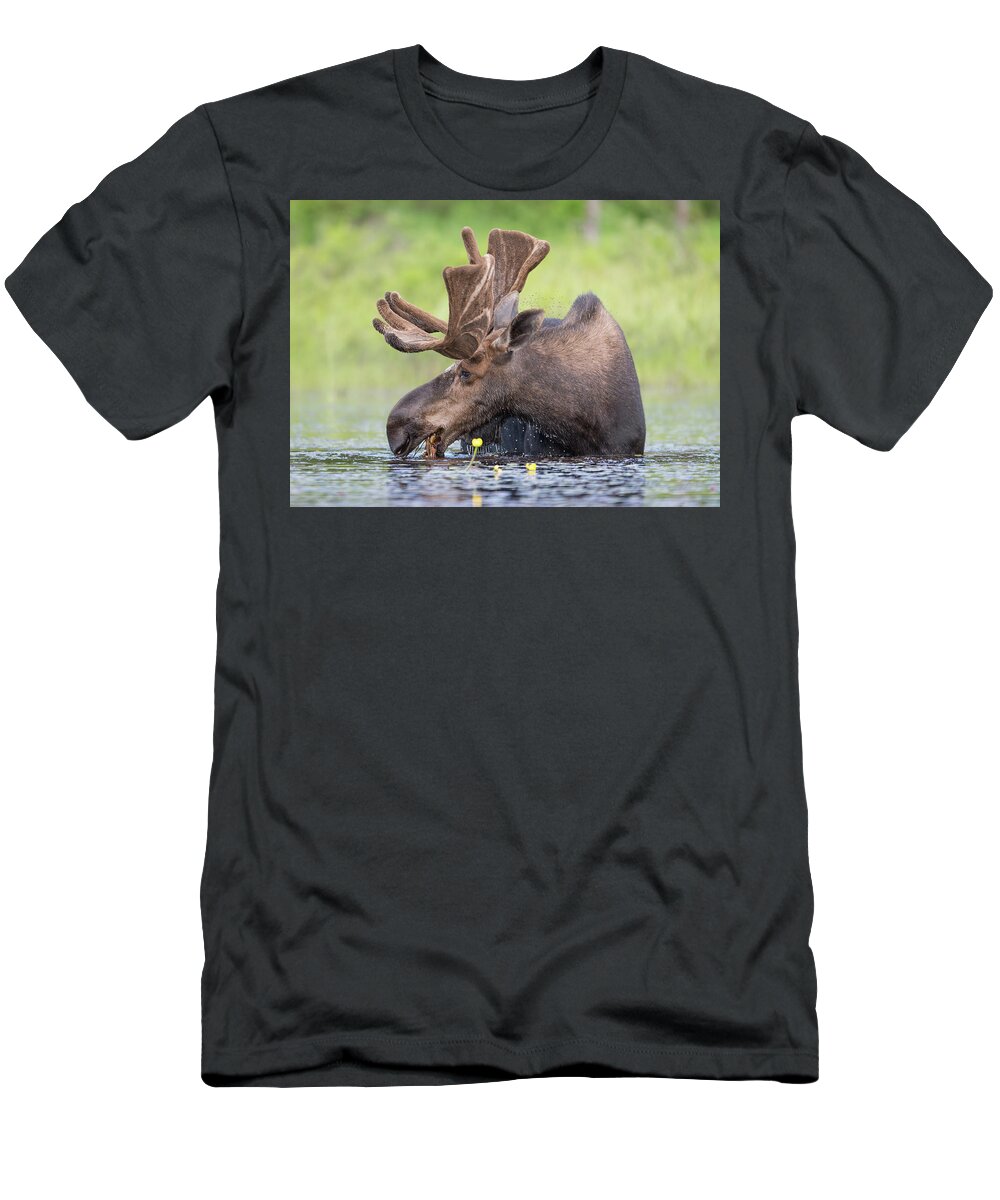 Moose T-Shirt featuring the photograph Early light by Ian Sempowski