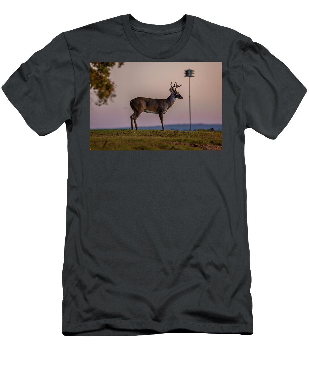 Whitetail Deer T-Shirt featuring the photograph Early Morning Buck by David Wagenblatt