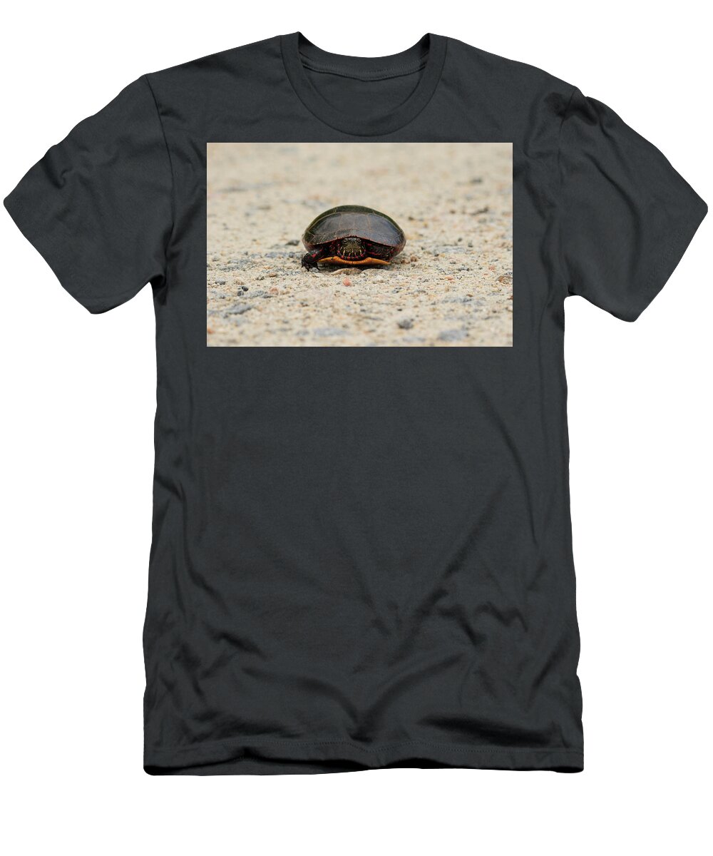 Eastern Red-bellied Turtle T-Shirt featuring the photograph Eastern Red-Bellied Turtle by Rose Guinther