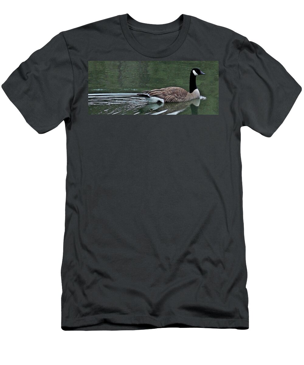 Canadian Geese T-Shirt featuring the photograph Easy Glider by John Glass