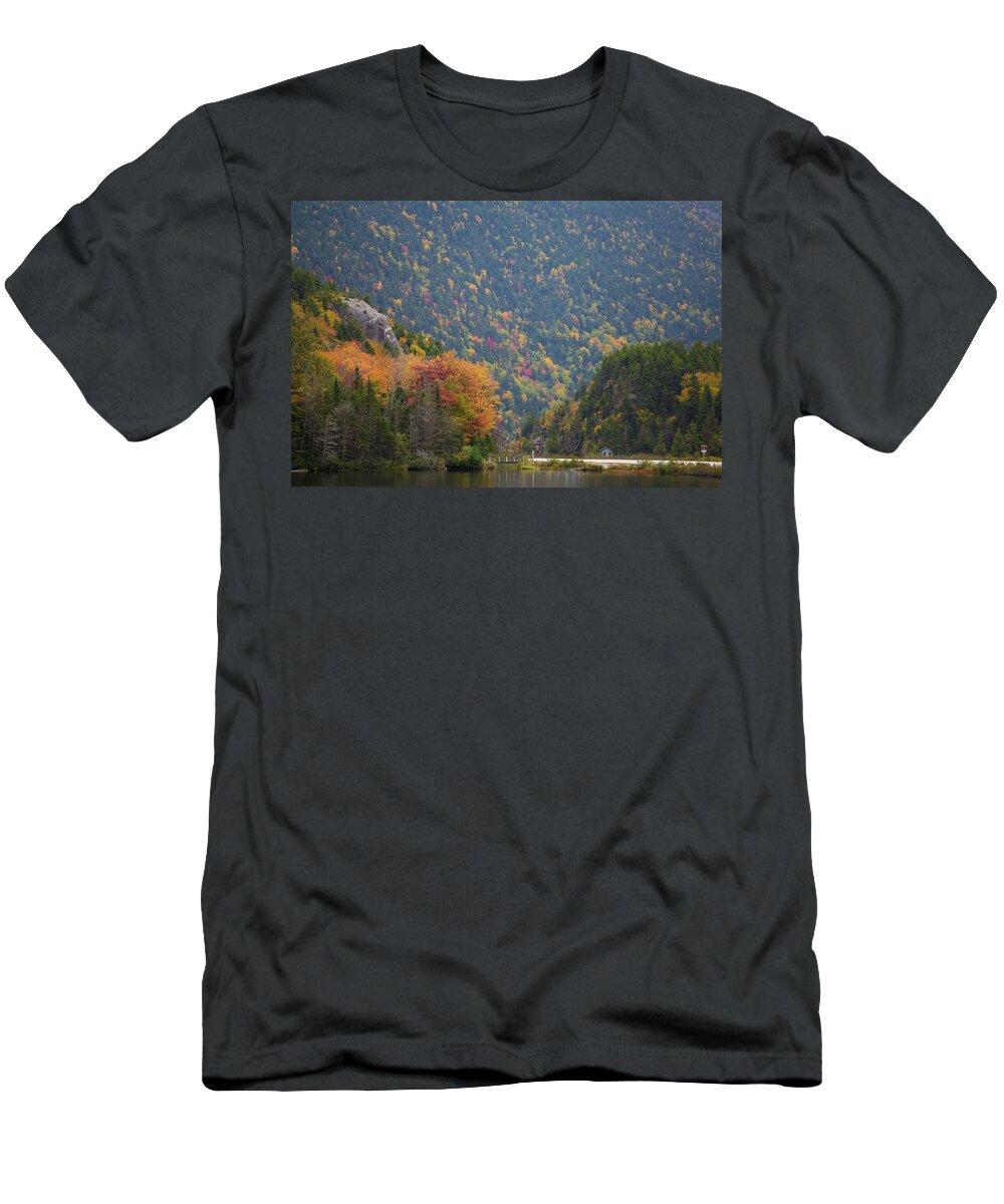 Elephant T-Shirt featuring the photograph Elephant Head Autumn by Chris Whiton