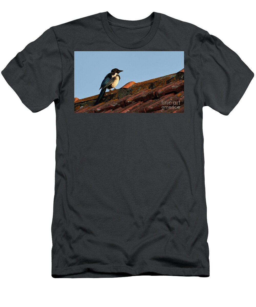 Colorful T-Shirt featuring the photograph Eurasian Magpie Pica Pica on Tiled Roof by Pablo Avanzini