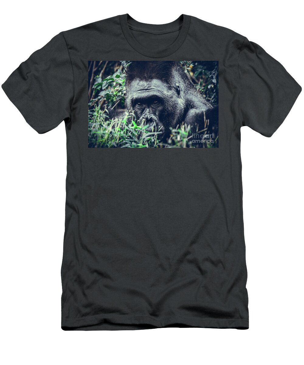 Gorilla T-Shirt featuring the photograph Eyes Speak by Dheeraj Mutha