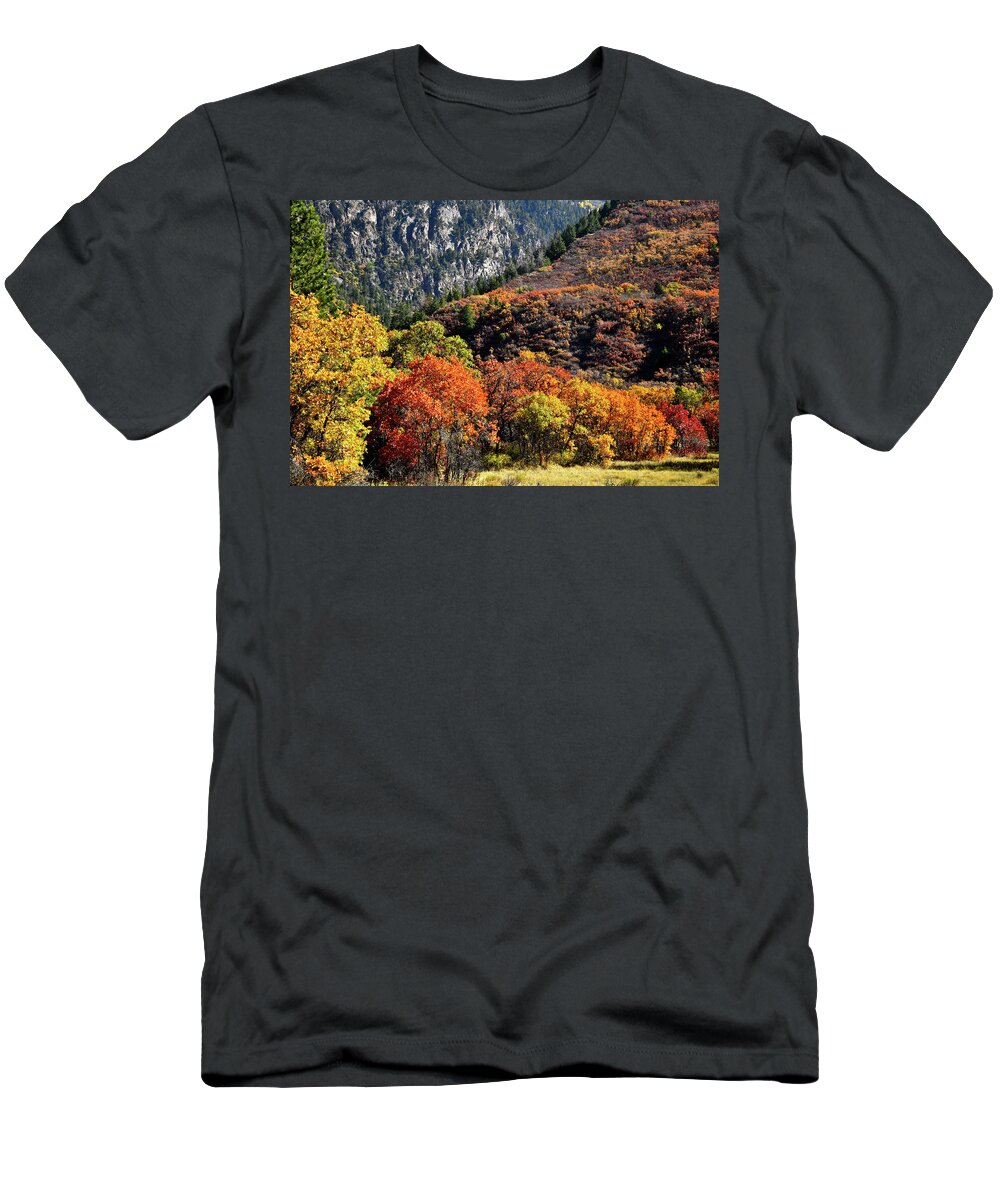 Colorado T-Shirt featuring the photograph Fall Colored Oaks in Avalanche Creek Canyon by Ray Mathis
