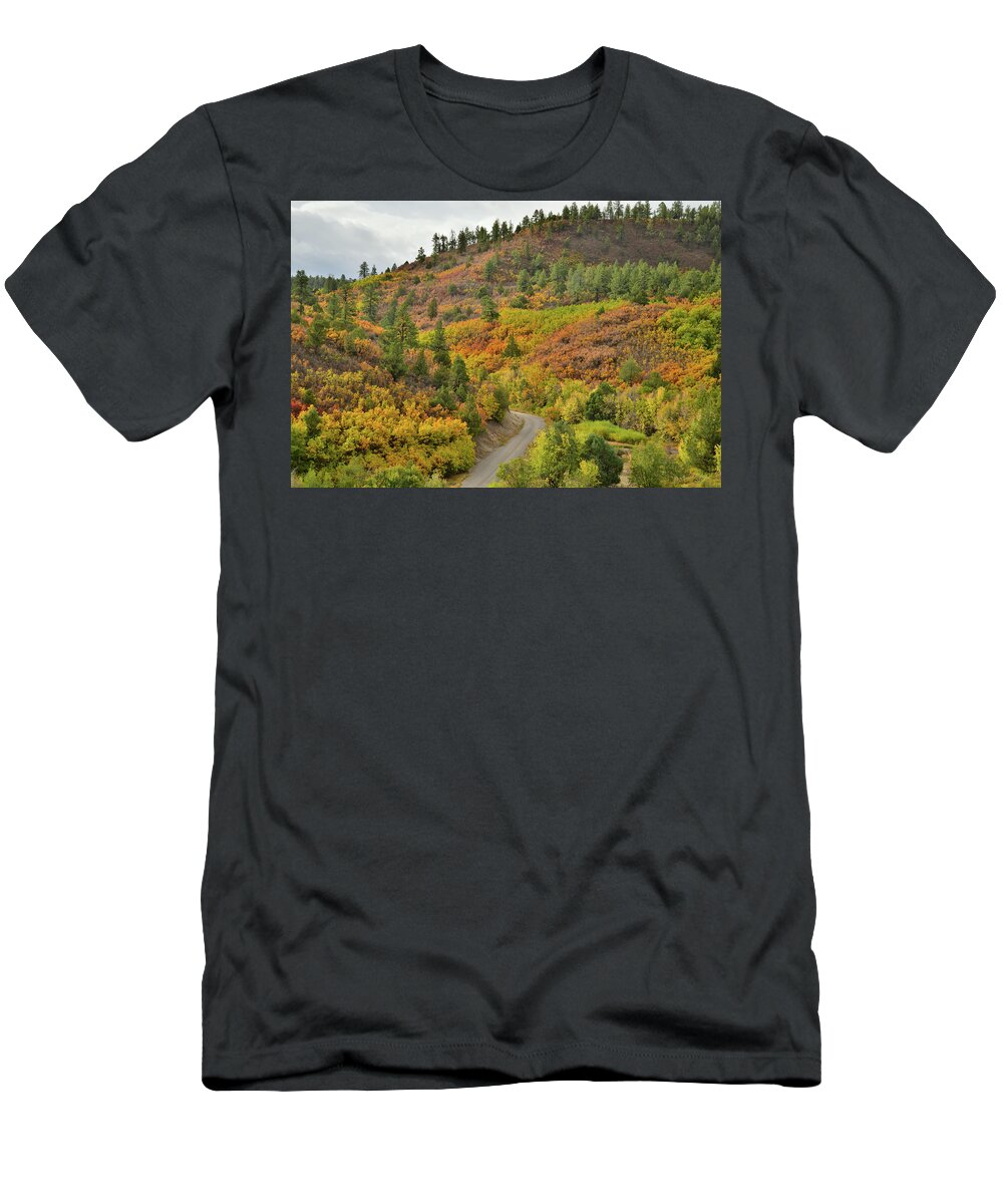 Ouray T-Shirt featuring the photograph Fall Colors Adorn Hills near Ridgway Colorado by Ray Mathis