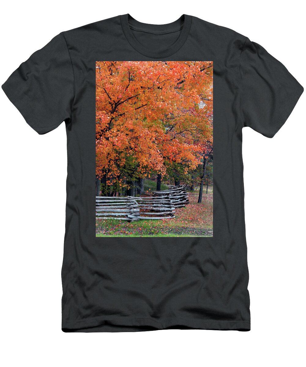 Split Rail Fence T-Shirt featuring the photograph Fall Colors Split Rail Fence by David T Wilkinson