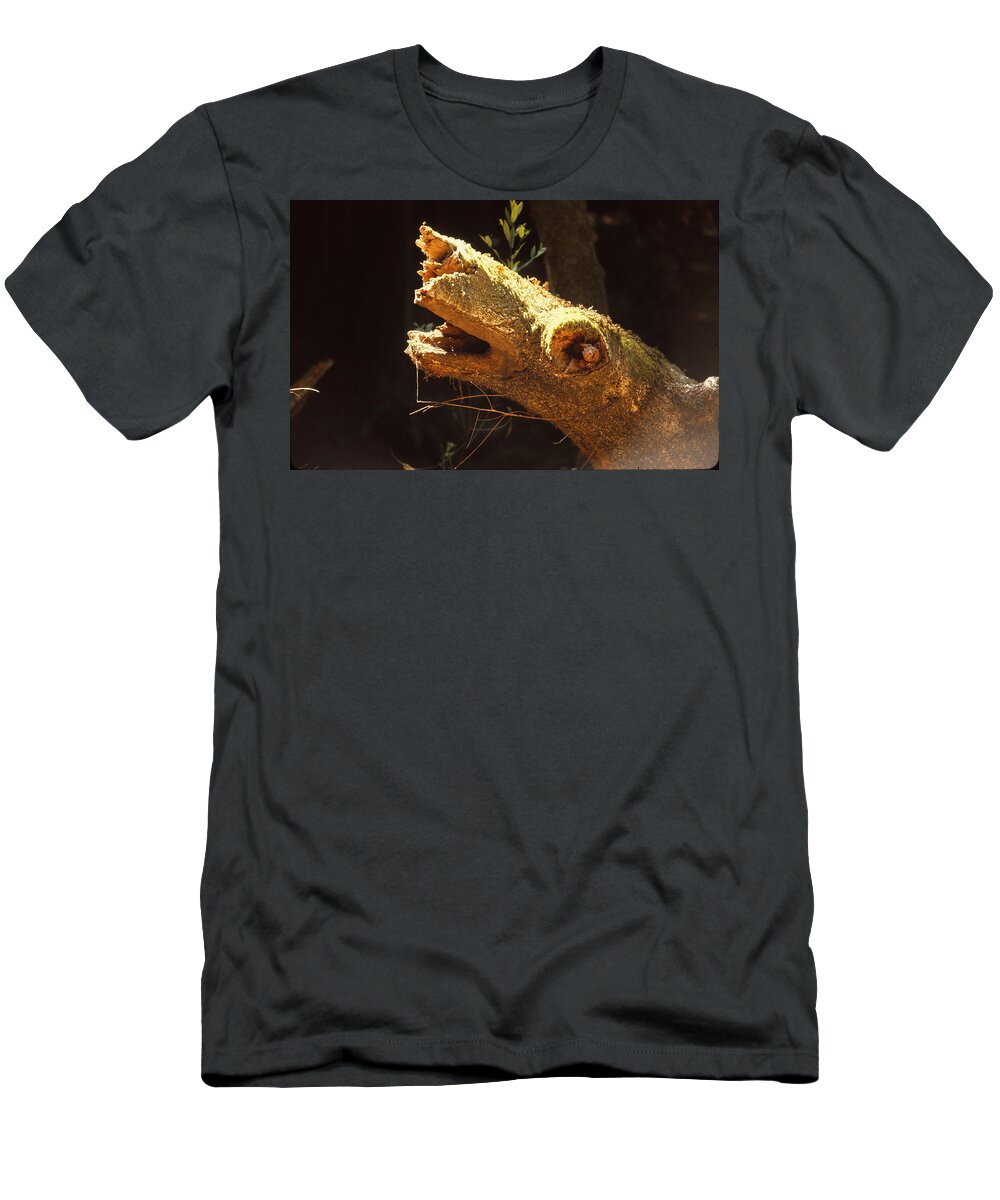 Horse T-Shirt featuring the photograph Fallen Horse by Marty Klar