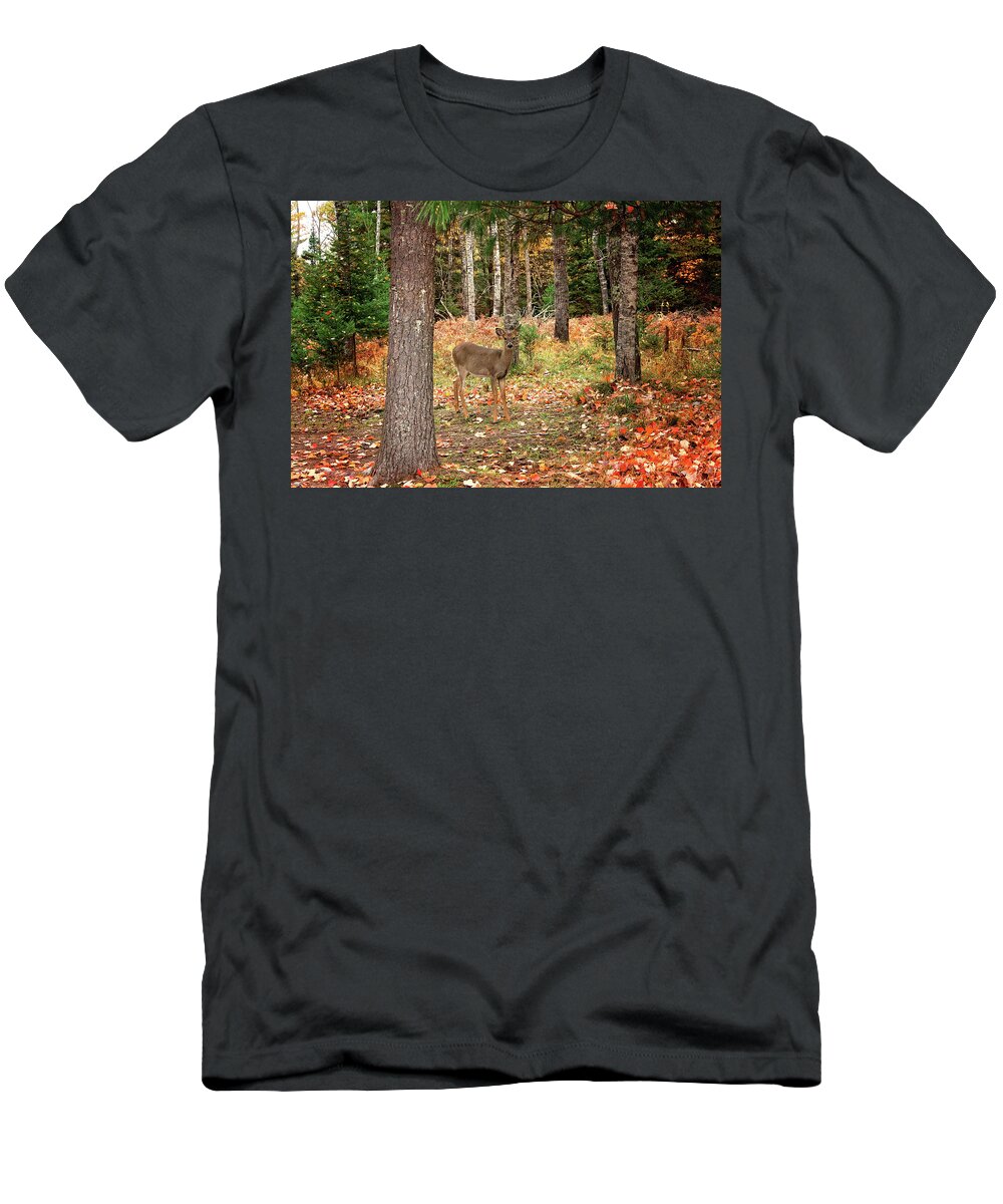 Fawn In The Fall Print T-Shirt featuring the photograph Fawn in the Fall Print by Gwen Gibson