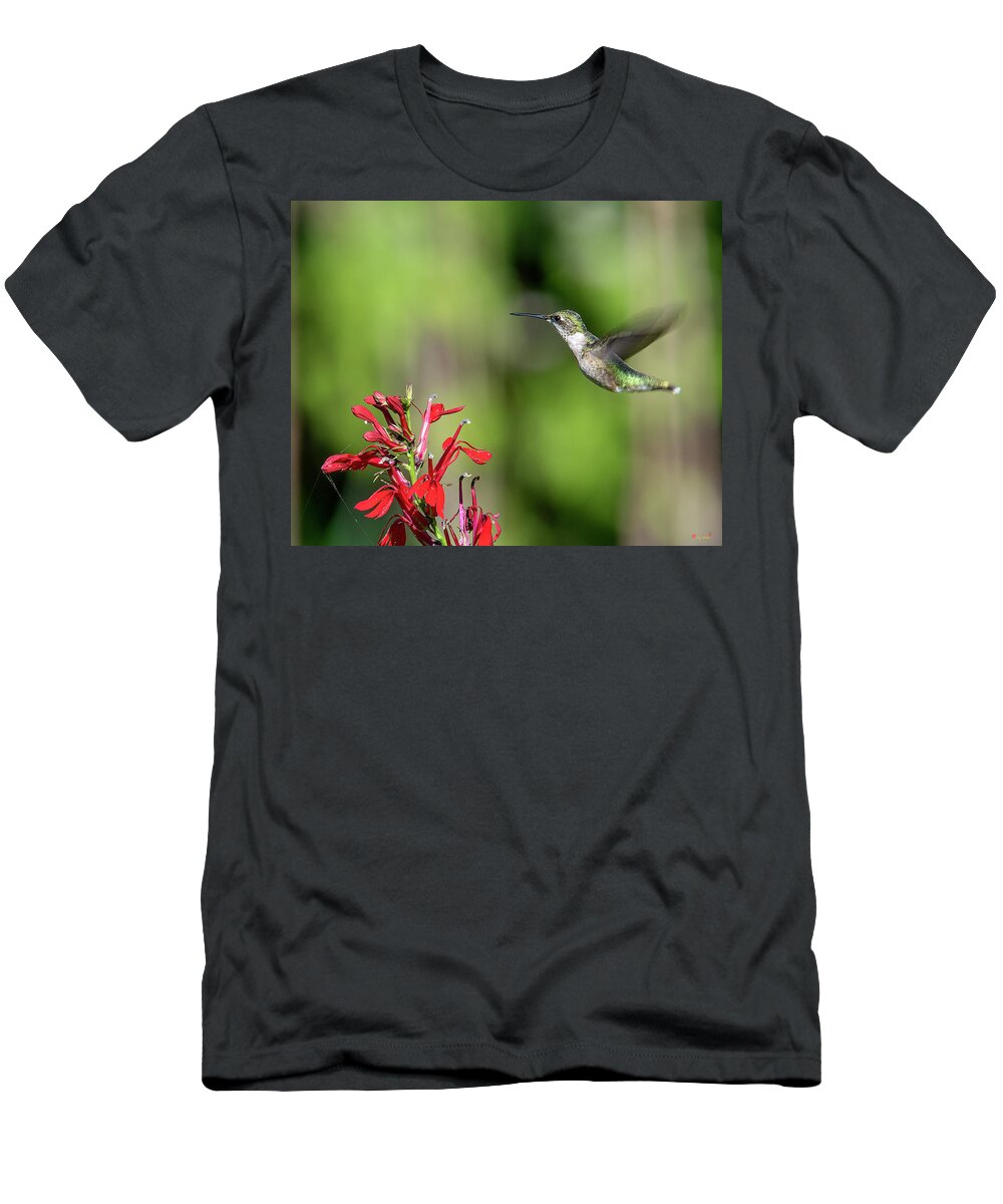 Nature T-Shirt featuring the photograph Female Ruby-throated Hummingbird DSB0320 by Gerry Gantt