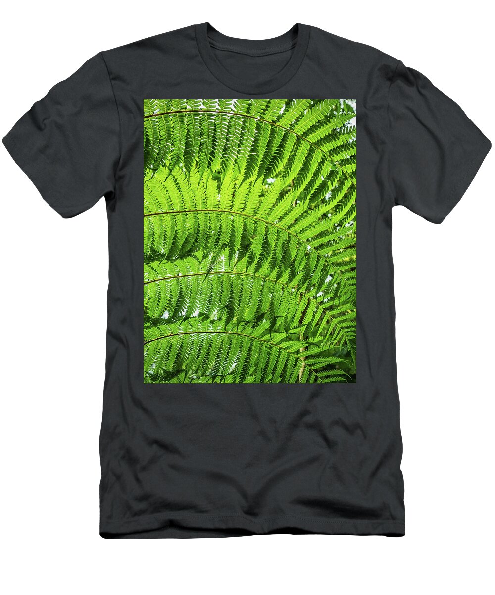 Fern T-Shirt featuring the photograph Fern by Nick Bywater
