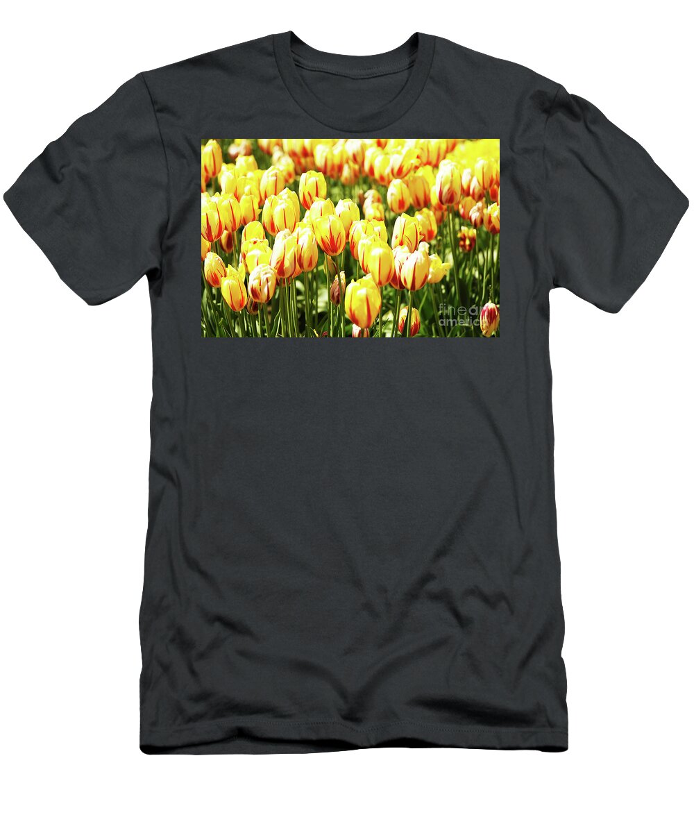 Yellow T-Shirt featuring the photograph Field of Yellow by Rich Collins