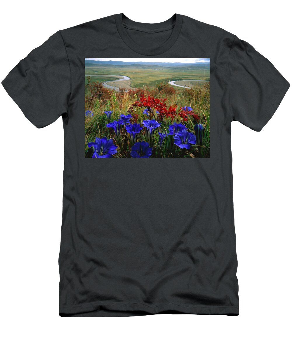 Estock T-Shirt featuring the digital art Field With Wild Flowers & Road by Giovanni Simeone