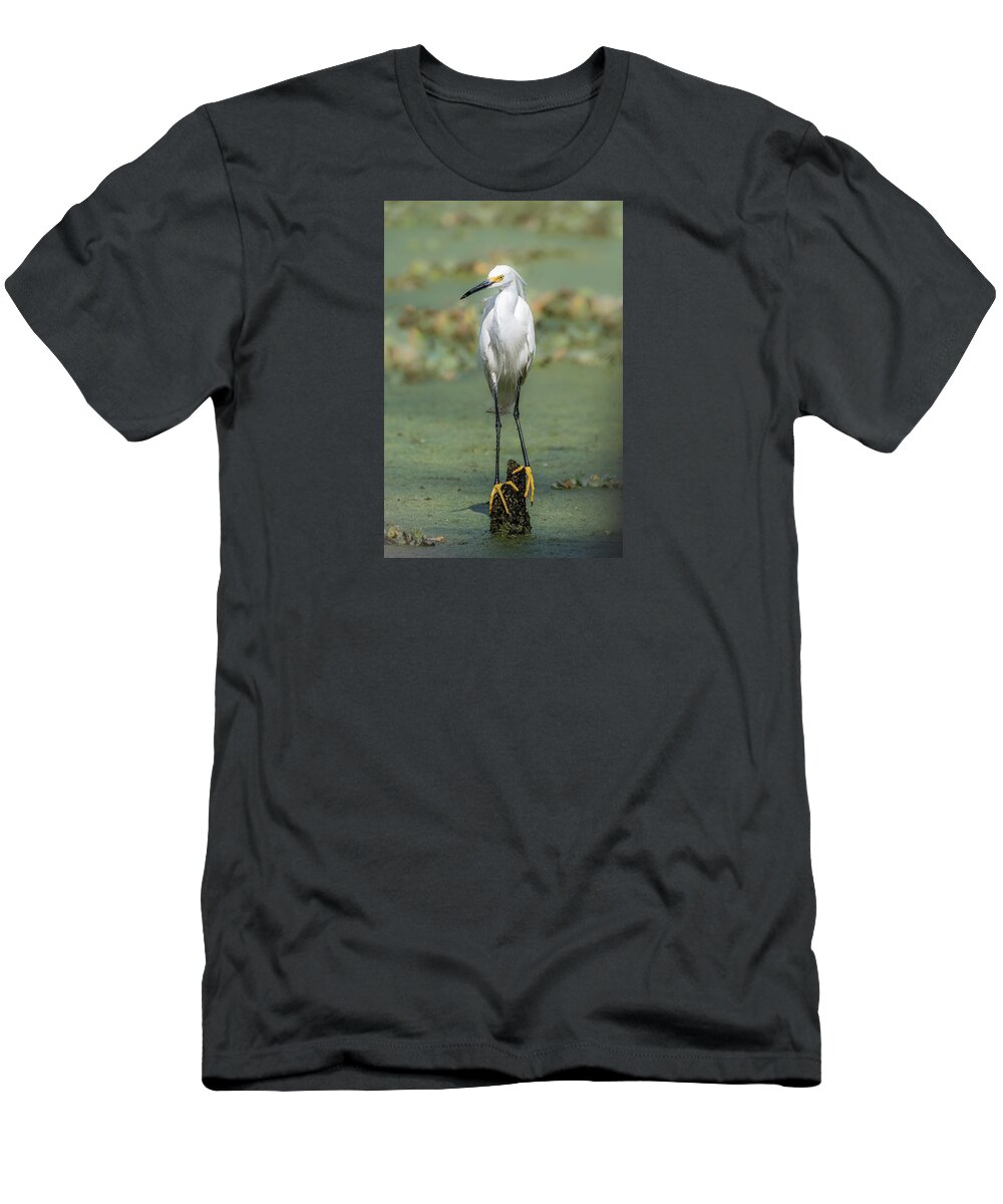 Circle T-Shirt featuring the photograph Finding Balance by Shane Walters