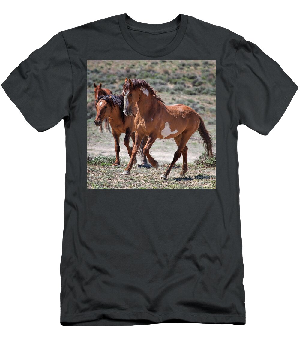 Horses; Stallions T-Shirt featuring the photograph Fire Starter by Jim Garrison