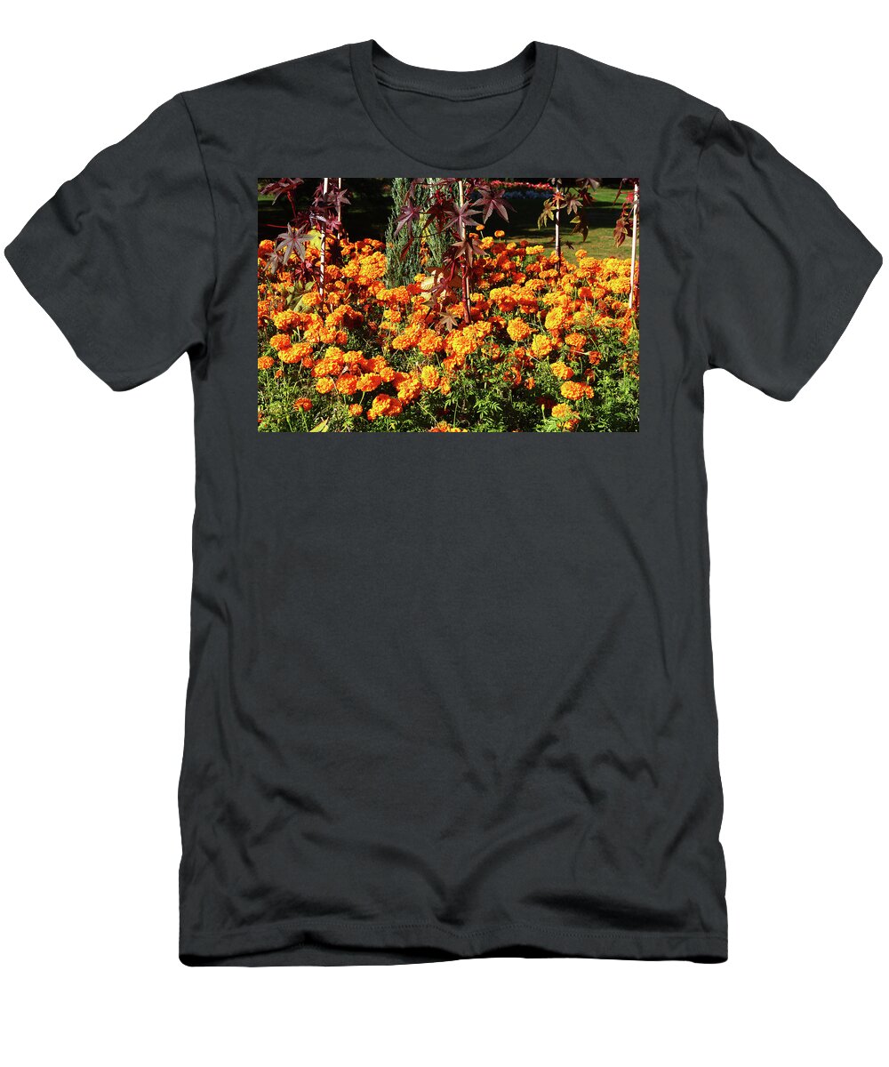 London T-Shirt featuring the photograph Flower Garden at Greenwich Park, London by Aidan Moran