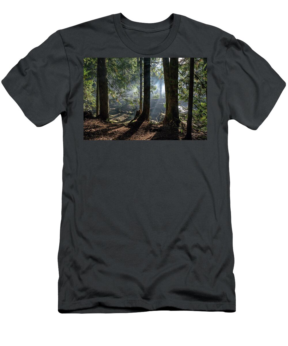 Alex Lyubar T-Shirt featuring the photograph Foggy morning in the forest by Alex Lyubar