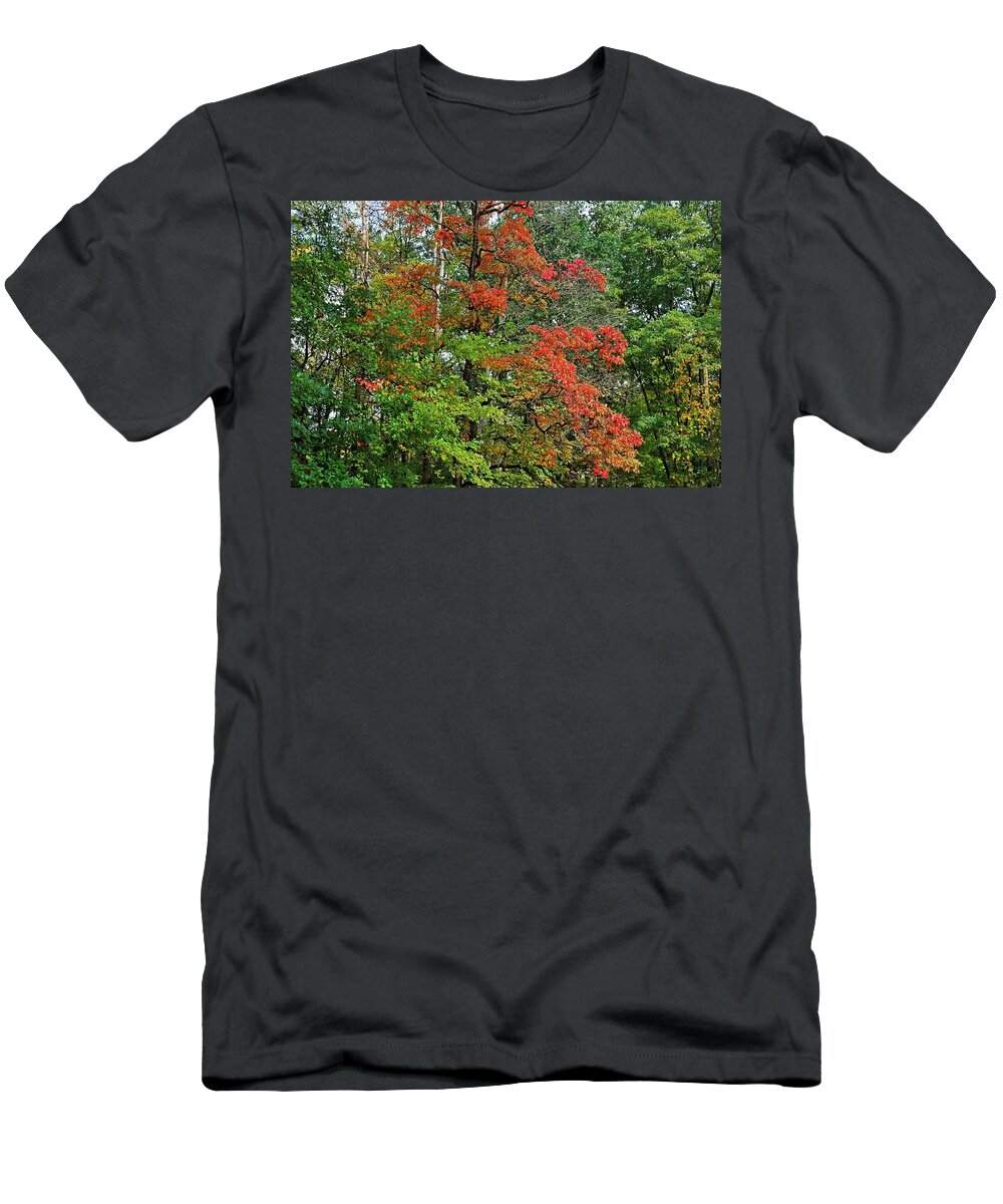 Autumn T-Shirt featuring the photograph Forever with You by Michiale Schneider
