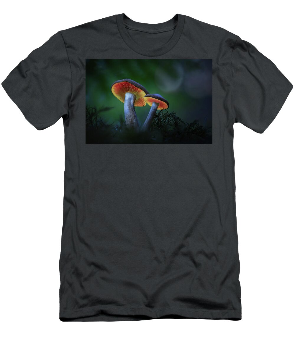 Autumn T-Shirt featuring the photograph Glowing mushroom lanterns - enchanted autumn forest by Dirk Ercken