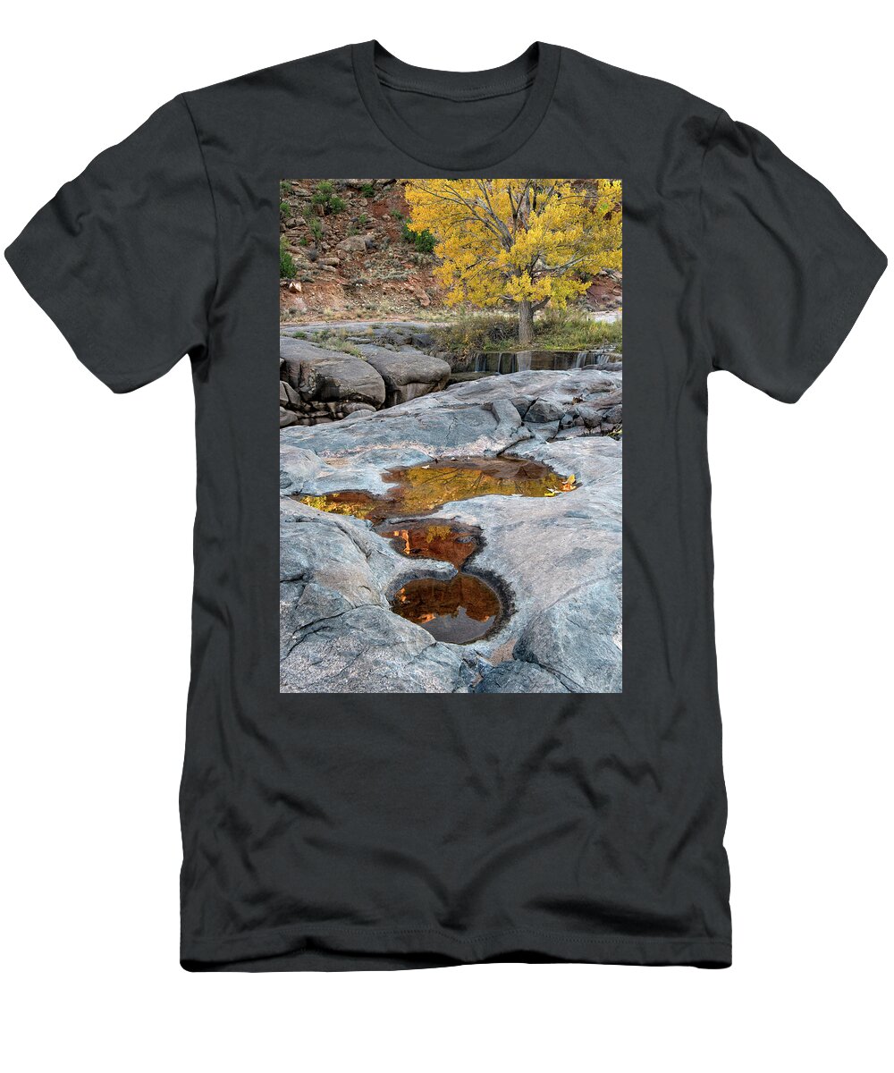 Dominguez Canyon T-Shirt featuring the photograph Gold Reflection by Angela Moyer