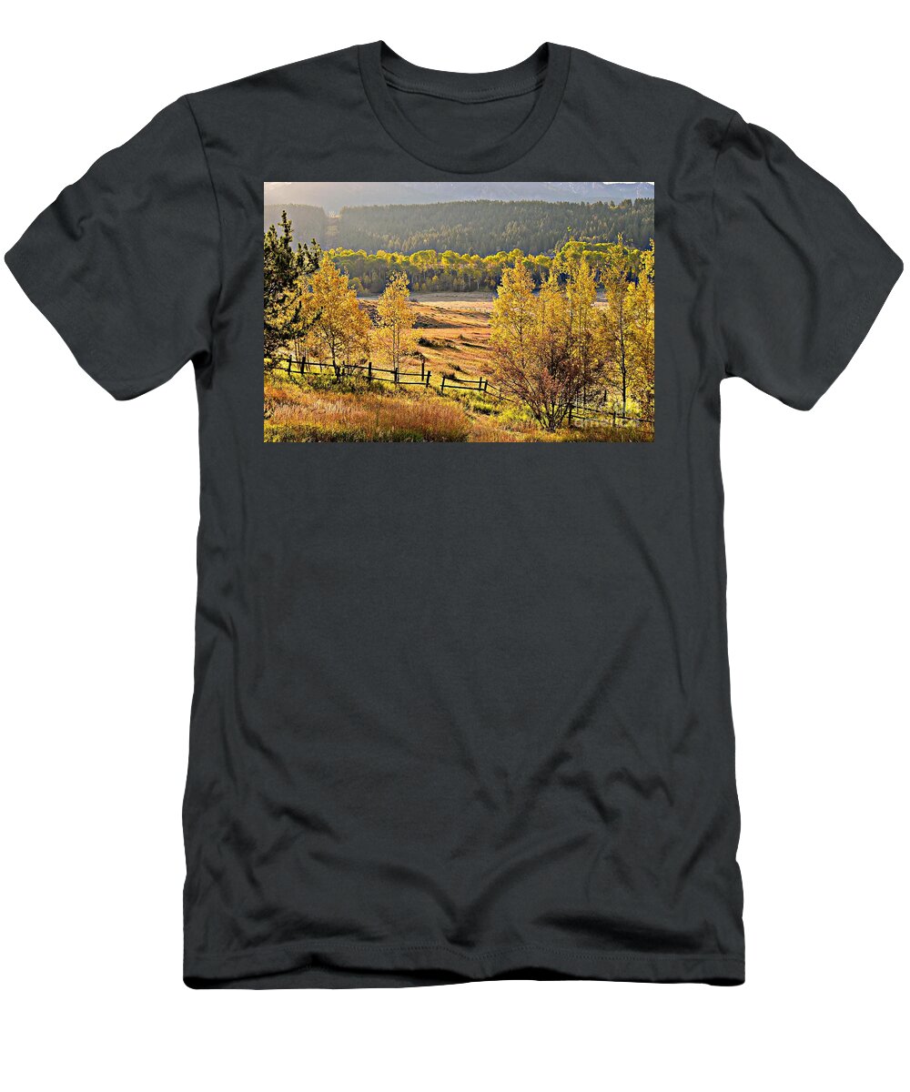 Fall T-Shirt featuring the photograph Golden Hour by Dorrene BrownButterfield