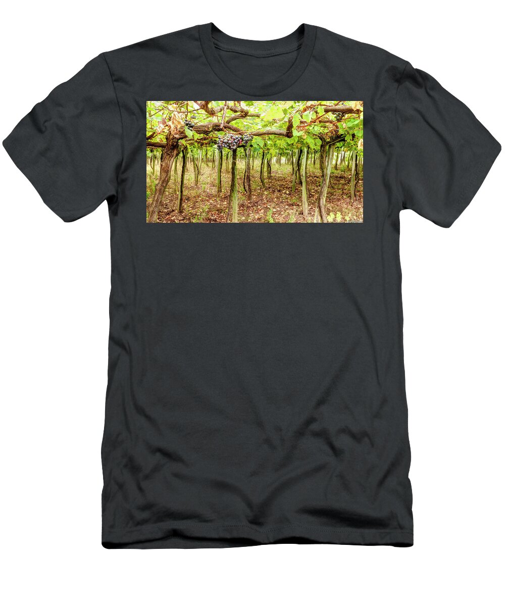 Grape T-Shirt featuring the photograph Grapes on a Vineyard by Weston Westmoreland
