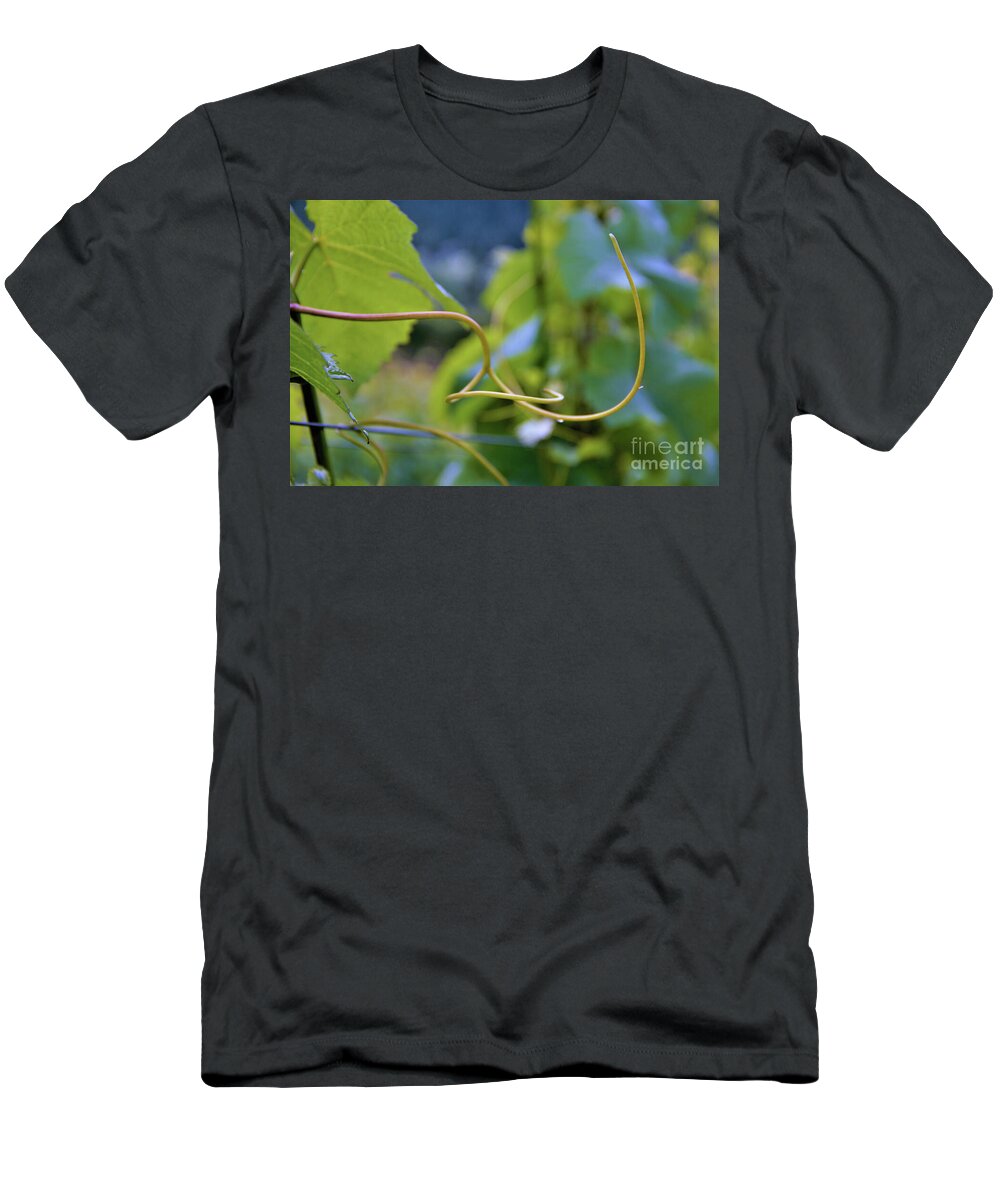 Vineyard T-Shirt featuring the photograph Graceful Curve of a Grapevine tendril by Leslie Struxness