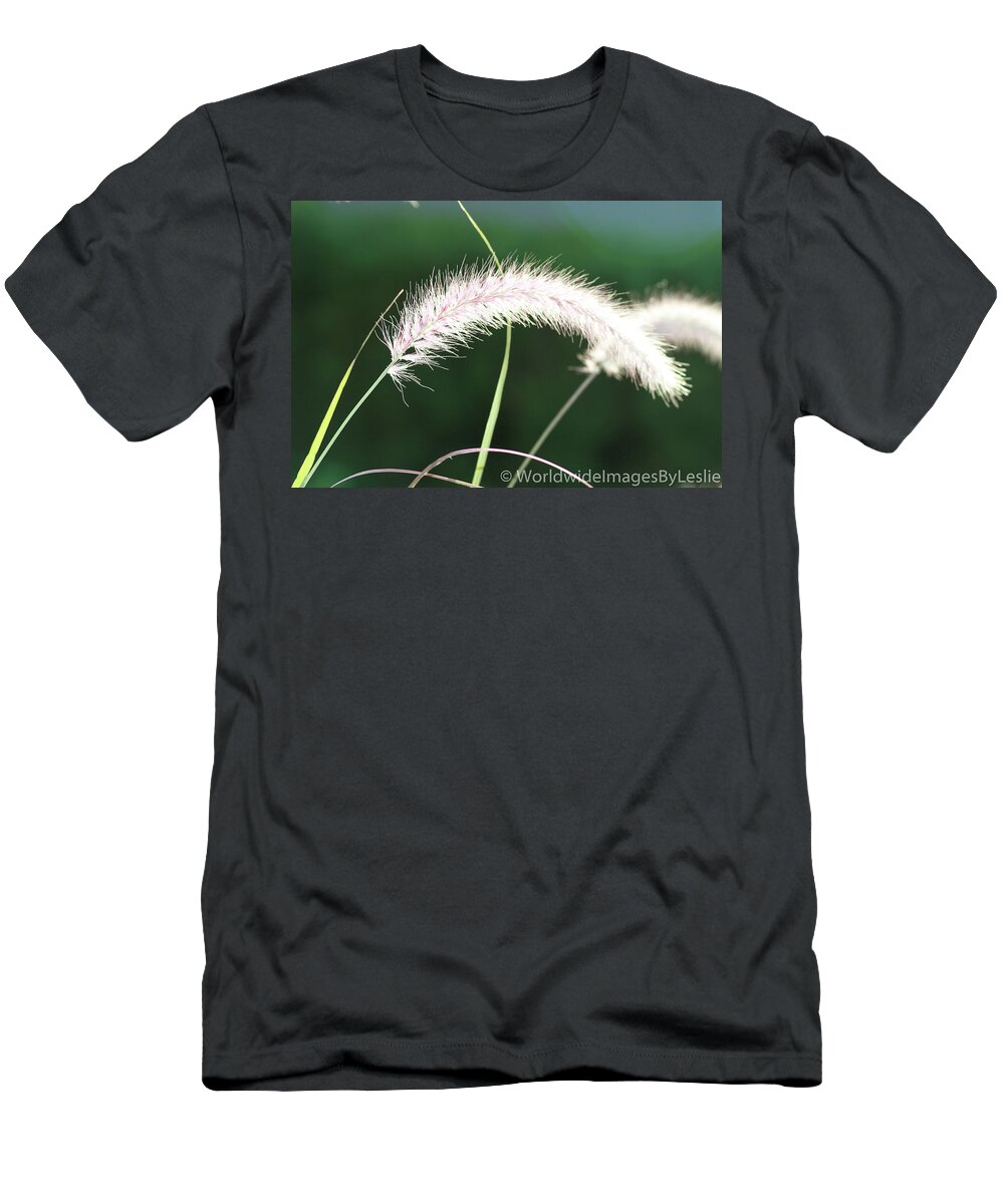 Gardens T-Shirt featuring the photograph Grass in Sunlight by Leslie Struxness