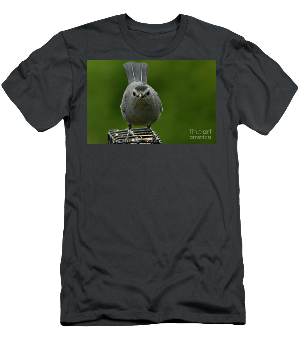 Gray T-Shirt featuring the photograph Gray Cat Bird by Sandra J's