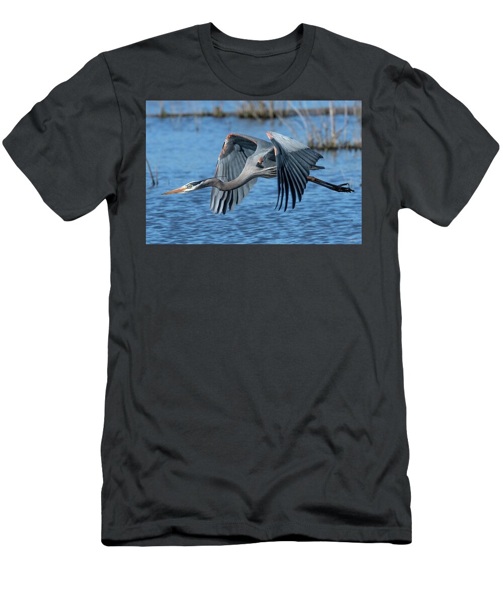 Nature T-Shirt featuring the photograph Great Blue Heron in Flight DMSB0151 by Gerry Gantt