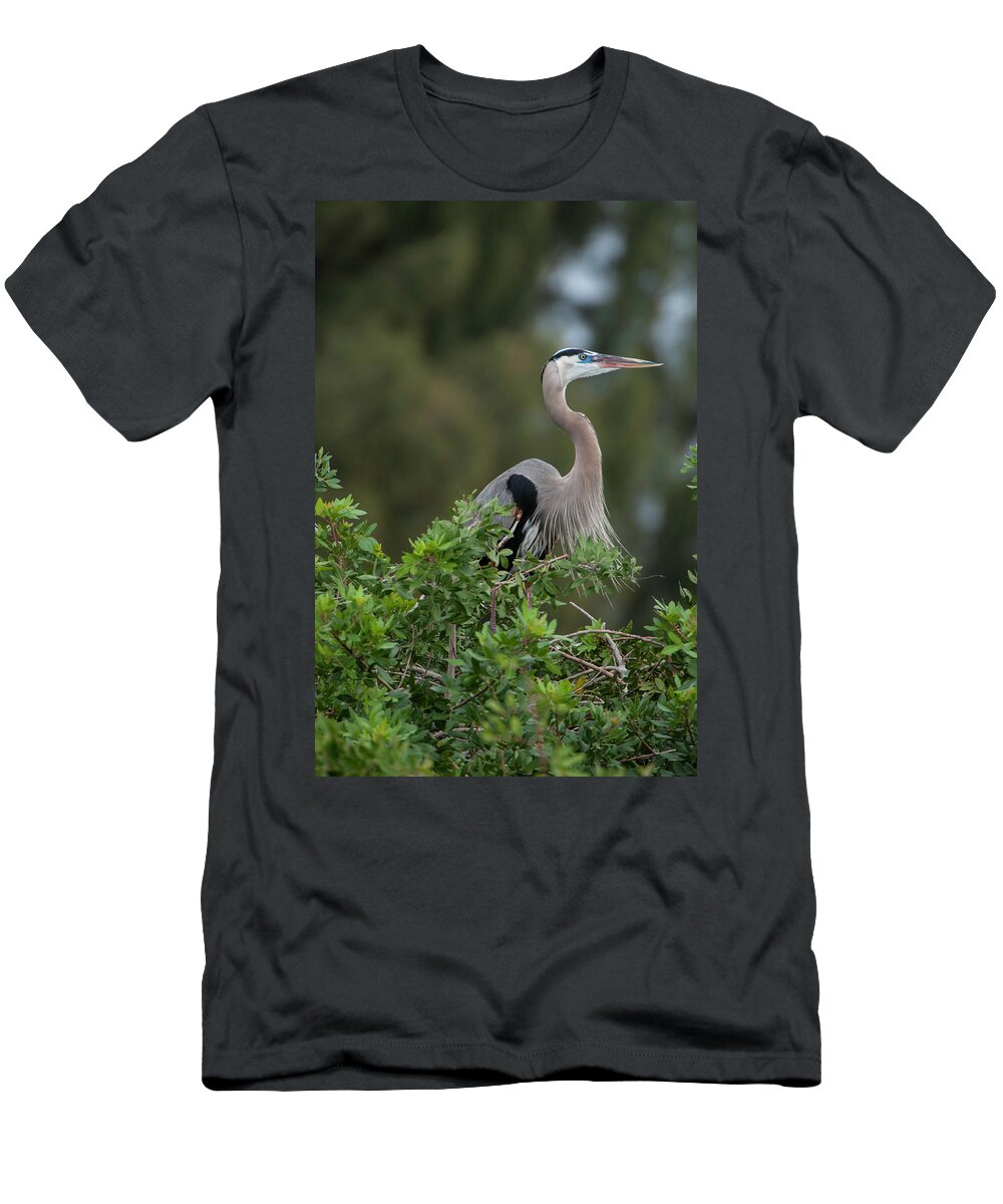 Birds T-Shirt featuring the photograph Great Blue Heron Portrait by Donald Brown